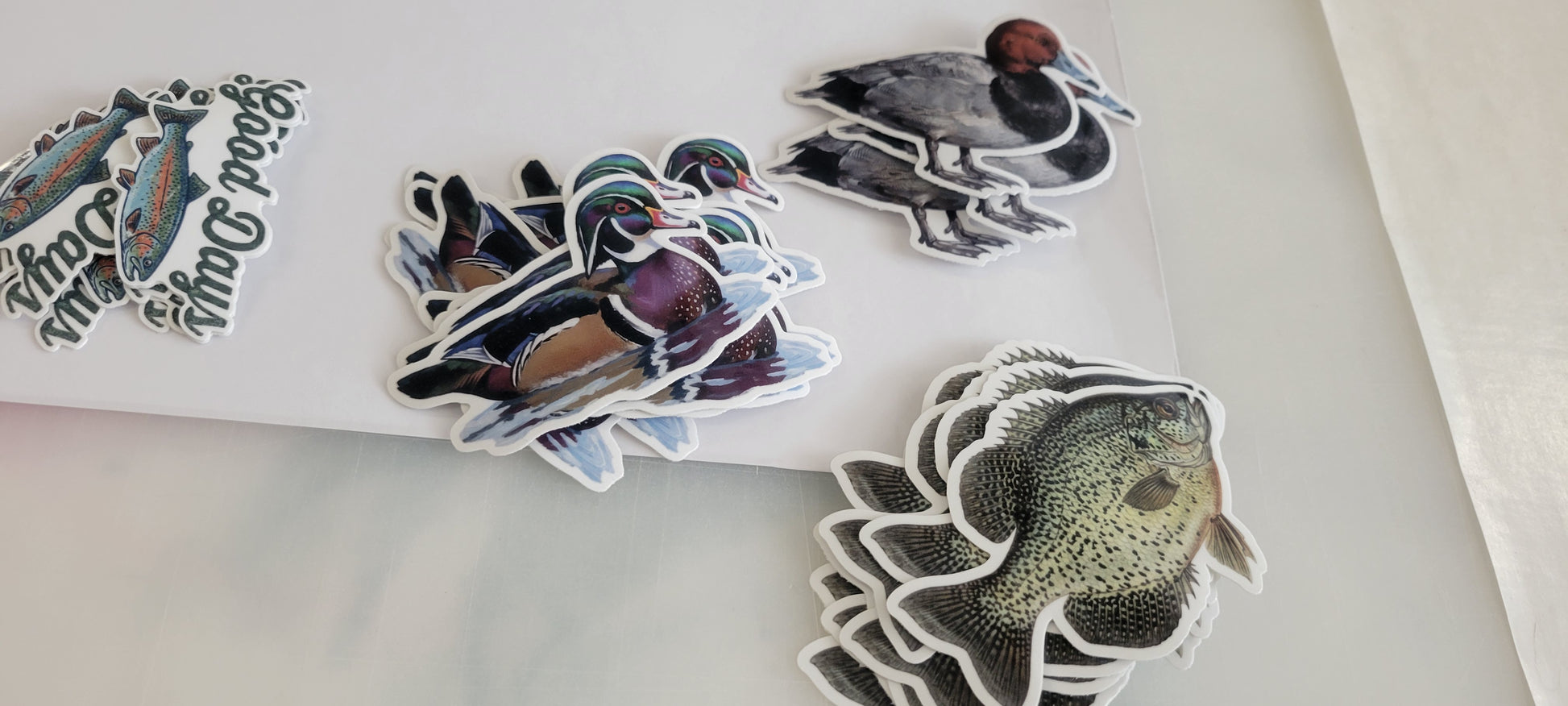 Colorful vinyl animal die cut stickers with playful ducks and fish, glossy finish, peel-and-stick adhesive, assorted sizes. Printed for Good Days Marina